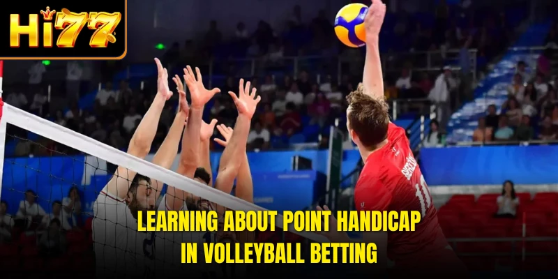 Learning about point handicap in volleyball betting